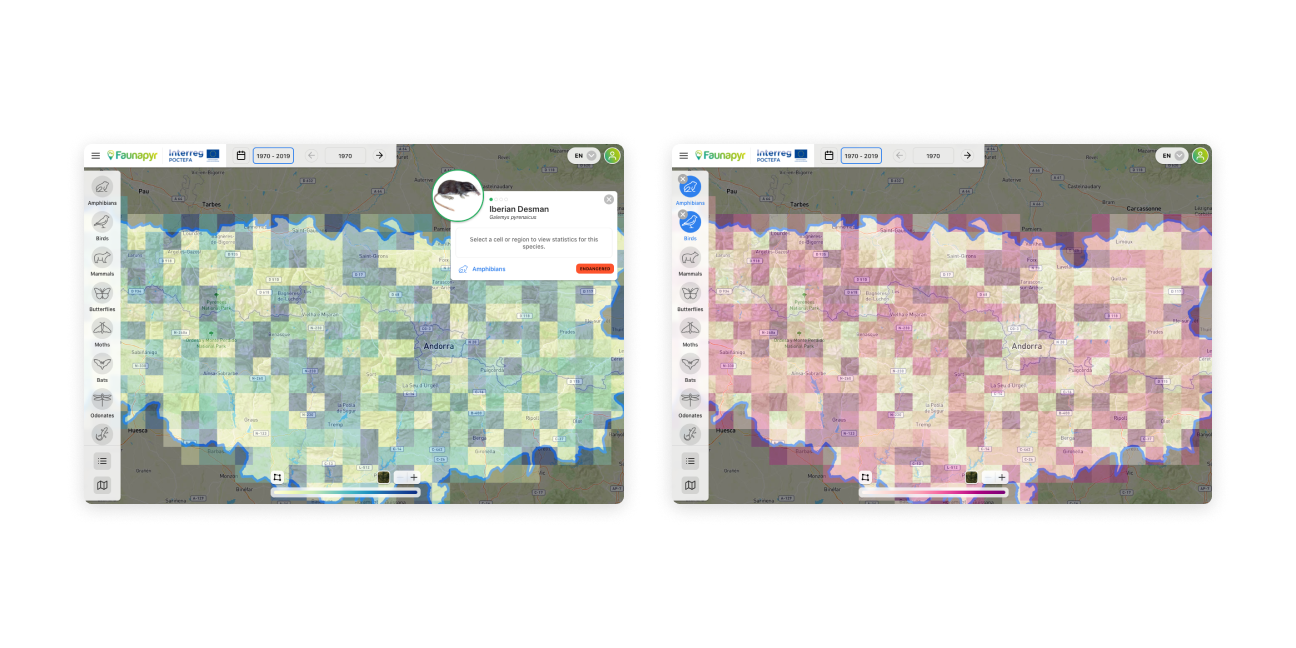 Filter sightings by species or entire taxa groups